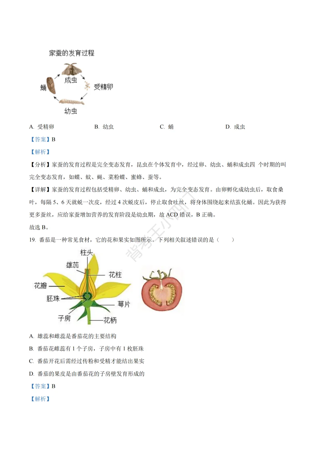 江苏省苏州市2025年中考小四门真题及答案解析(生物/历史/道法) 第27张