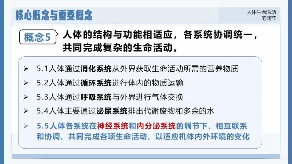 中考生物一轮复习专题5.5《人体生命活动的调节》 第13张