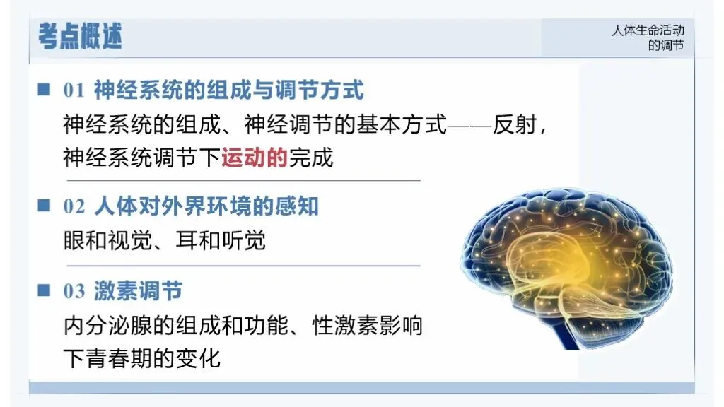 中考生物一轮复习专题5.5《人体生命活动的调节》 第15张