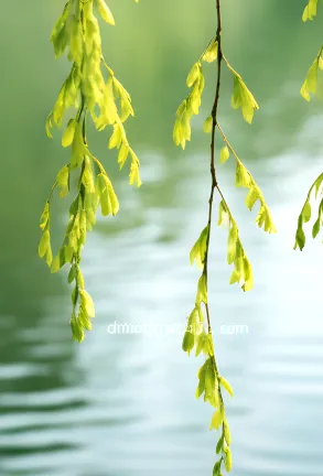 承接上期干货|完形真题词频完整版,2010-2025全覆盖,直接背诵 第3张 承接上期干货|完形真题词频完整版,2010-2025全覆盖,直接背诵 第3张