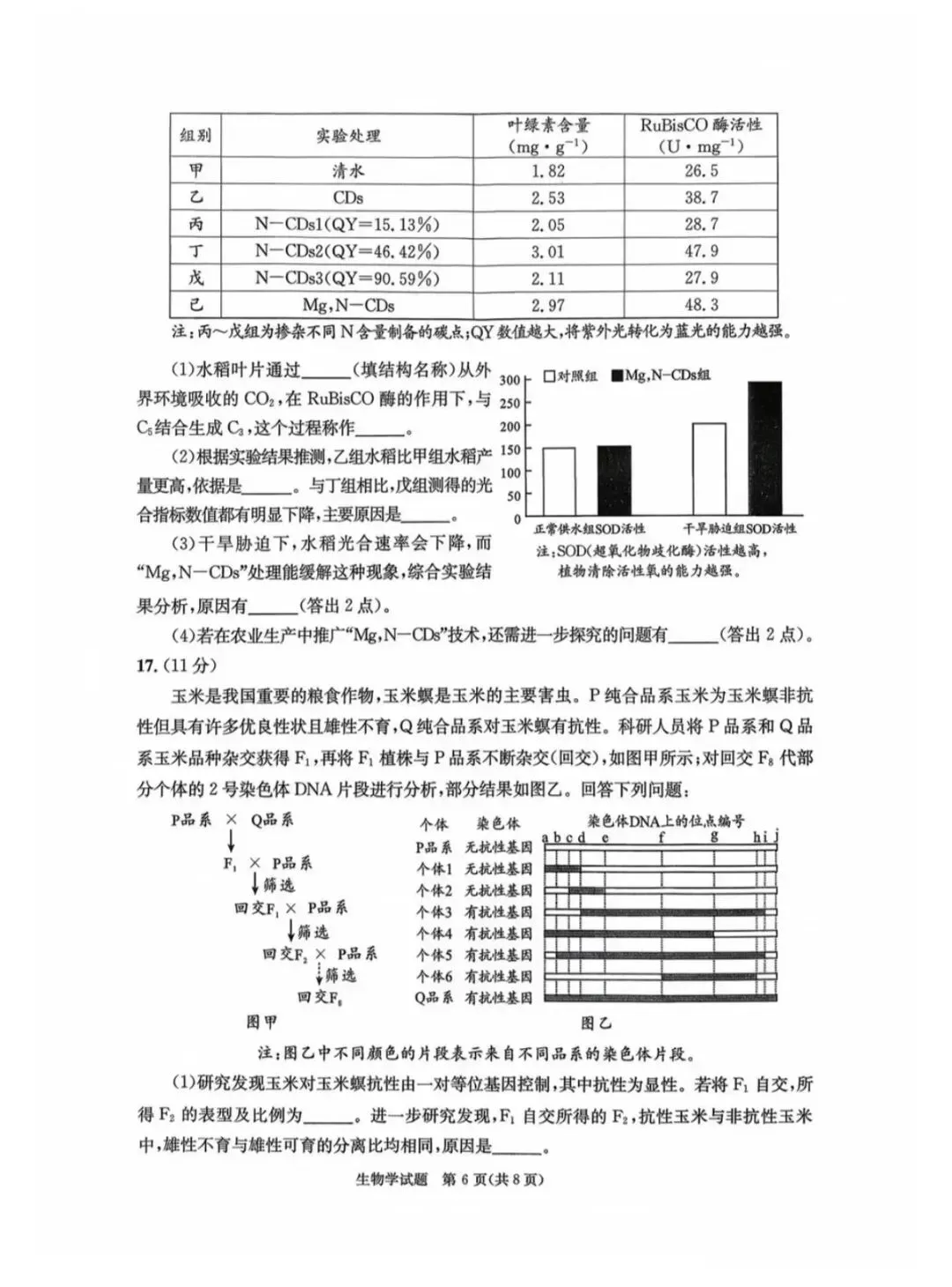 2026年成都高三第二次模拟测试生物学试卷和参考答案(成都二诊生物学) 第6张