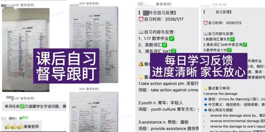 真题聚焦!高效备考!刘皇发中学校情考情重磅汇总 第6张