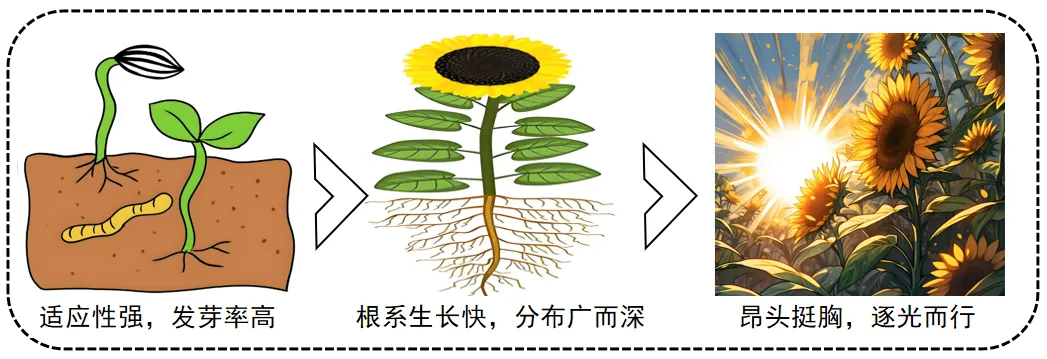中考备考|2025年全国道德与法治中考真题汇编|专题一处理好与自己的关系(2)认识青春|青春期变化|青春萌动|青春飞扬|青春有格 第1张 中考备考|2025年全国道德与法治中考真题汇编|专题一处理好与自己的关系(2)认识青春|青春期变化|青春萌动|青春飞扬|青春有格 第1张