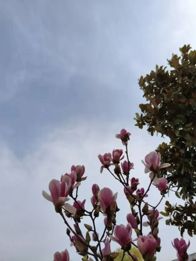 中考语文之环境描写的作用 第1张