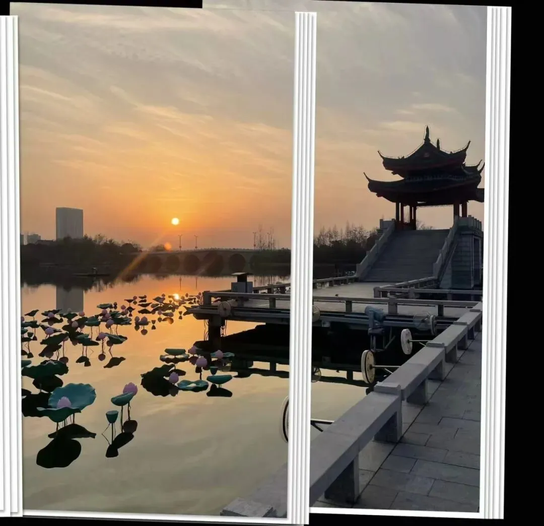 南京市、盐城市2026届高三年级第一次模拟考试|作文“井底之蛙”审题立意 第5张