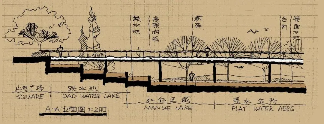 2022年西北农林科技大学真题解析 第5张