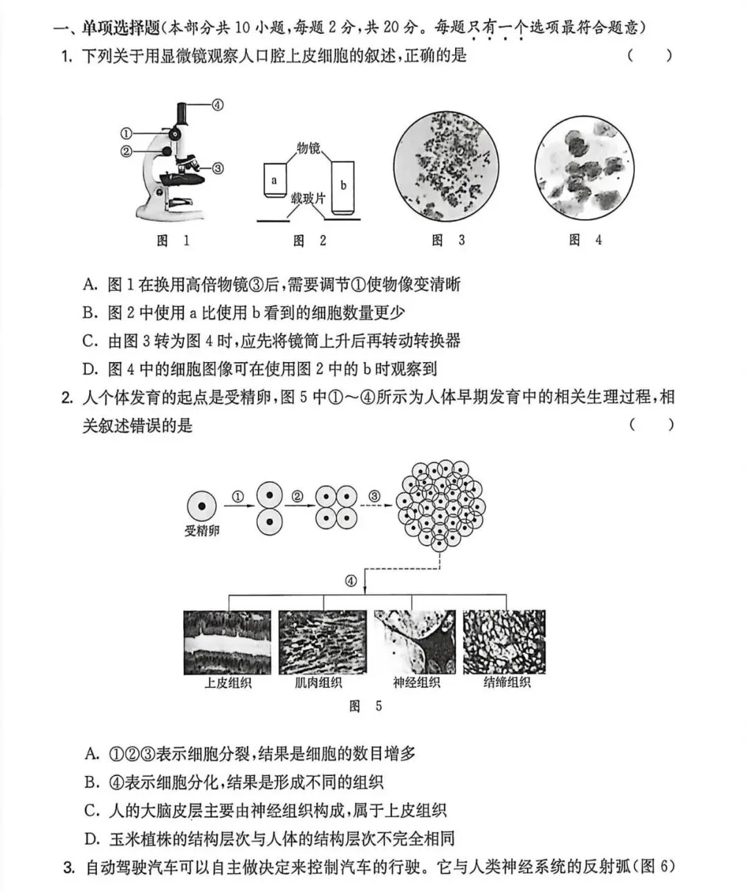 试卷:2026年生物学中考模拟试卷(2)(后附答案) 第2张