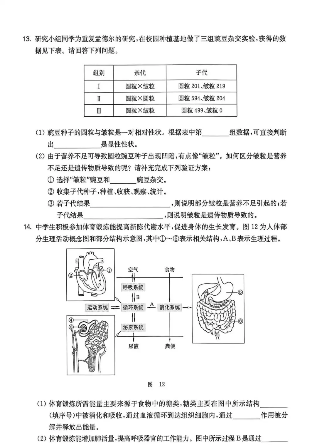 试卷:2026年生物学中考模拟试卷(2)(后附答案) 第6张