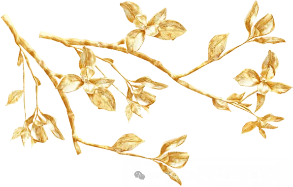 正安一中初中部:中考90天誓师大会-第5张图片-四季读书网
