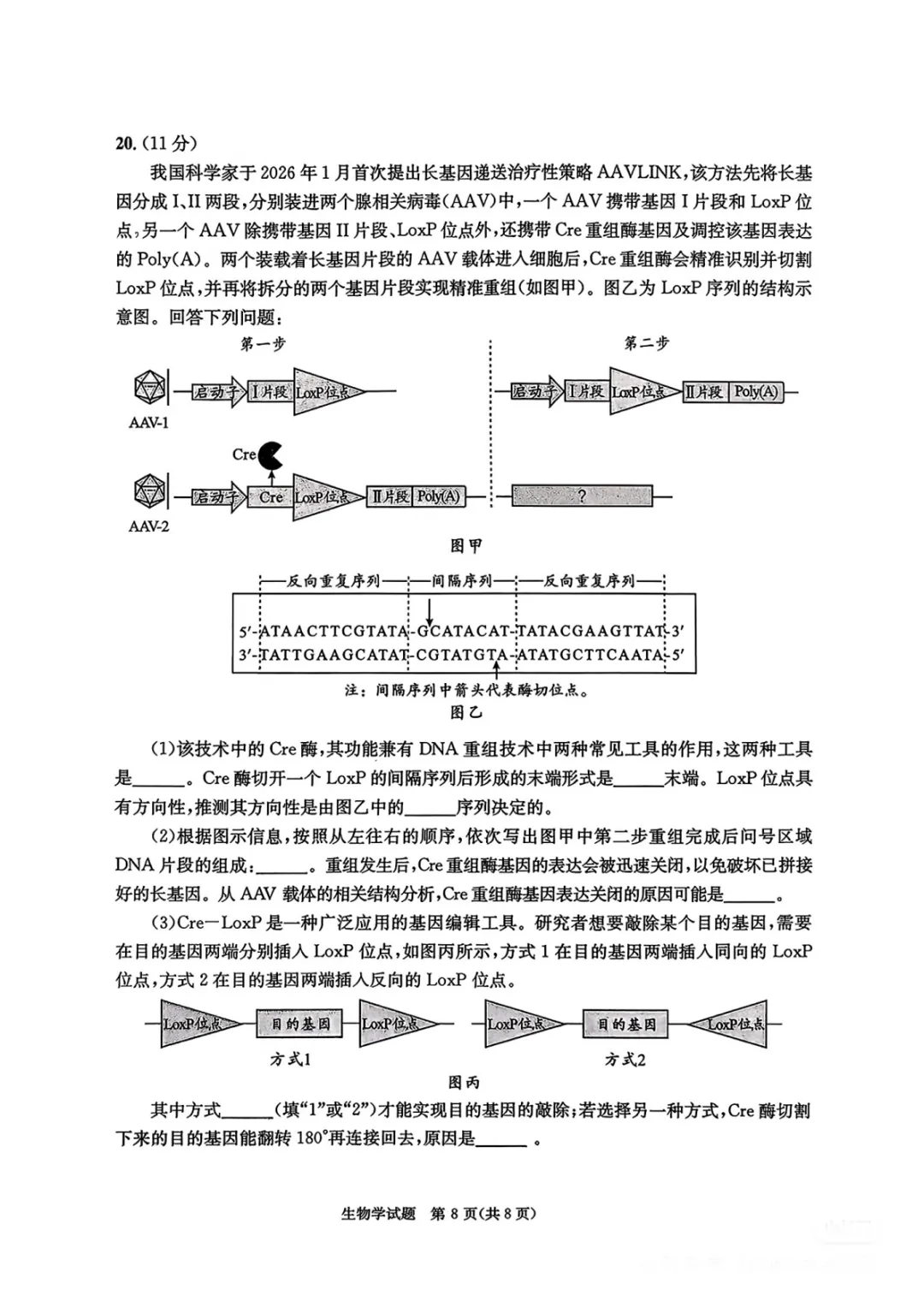 成都二诊全学科试卷及答案(九科全) 第78张