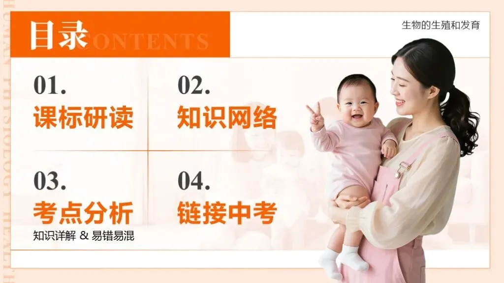 中考生物一轮复习专题6.1《遗传与变异—生物的生殖和发育》-第11张图片-四季读书网 中考生物一轮复习专题6.1《遗传与变异—生物的生殖和发育》-第11张图片-四季读书网