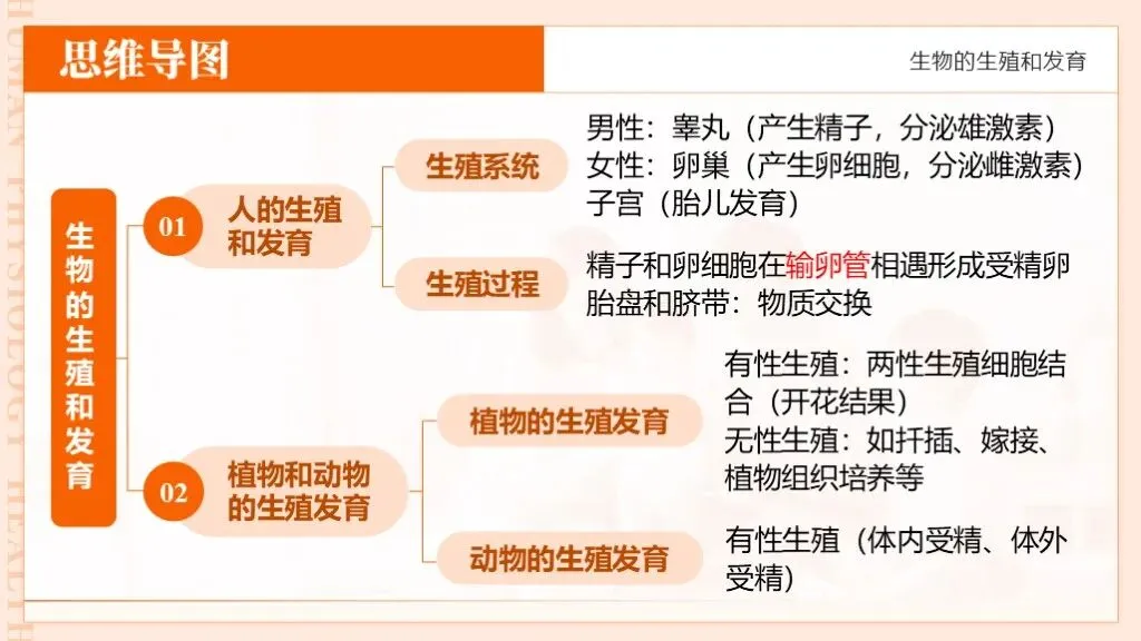 中考生物一轮复习专题6.1《遗传与变异—生物的生殖和发育》-第17张图片-四季读书网 中考生物一轮复习专题6.1《遗传与变异—生物的生殖和发育》-第17张图片-四季读书网