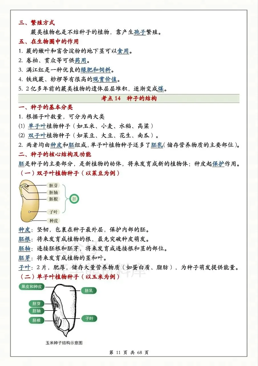 中考生物必备-第11张图片-四季读书网