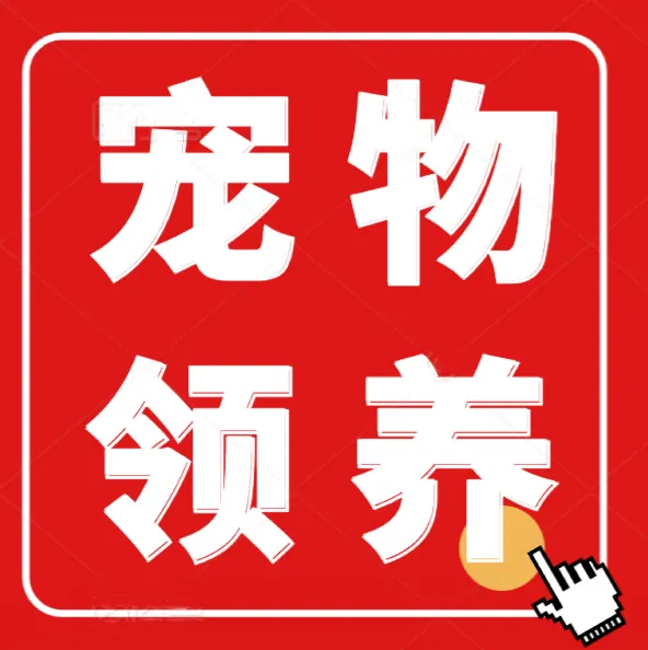 肇庆中考将有大调整!总分调整680分!生物地理不计入总分了!-第32张图片-四季读书网