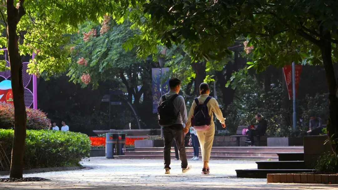 中考即将大变天?考试开卷、不分快慢班、全员100%直升高中! 第13张