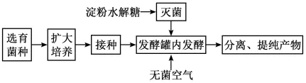 2025年高考真题分类汇编(部分)——专题六 生物技术与工程-第2张图片-四季读书网 2025年高考真题分类汇编(部分)——专题六 生物技术与工程-第2张图片-四季读书网