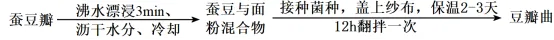 2025年高考真题分类汇编(部分)——专题六 生物技术与工程-第4张图片-四季读书网 2025年高考真题分类汇编(部分)——专题六 生物技术与工程-第4张图片-四季读书网