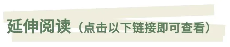 【关于中考】化学中考复习专题①——物质的多样性 第2张