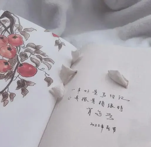 【中考阅读指导】正欲清谈逢客至(肖复兴) 第7张 【中考阅读指导】正欲清谈逢客至(肖复兴) 第7张
