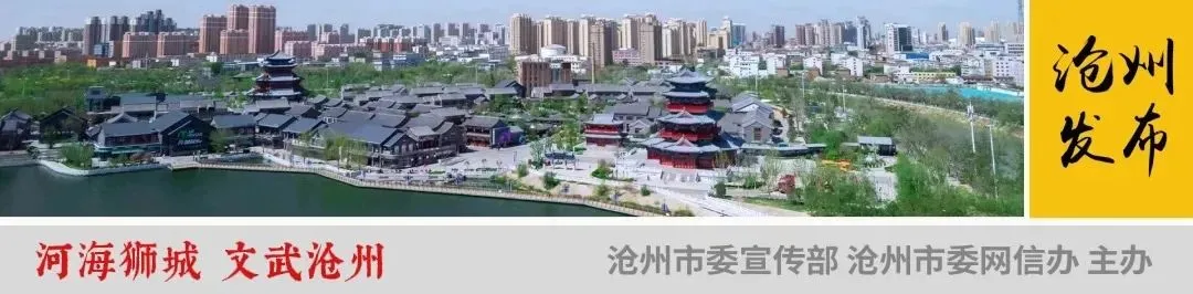 沧州武术“进”中考-第1张图片-四季读书网 沧州武术“进”中考-第1张图片-四季读书网