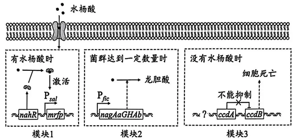 2026广州一模(试卷+答案) 第16张