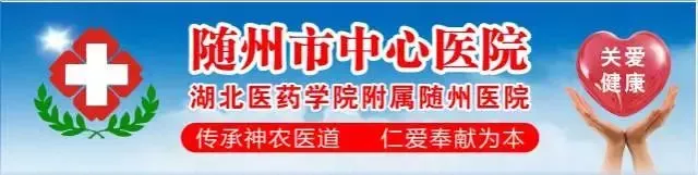 最新!随州体育中考方案有更新! 第12张