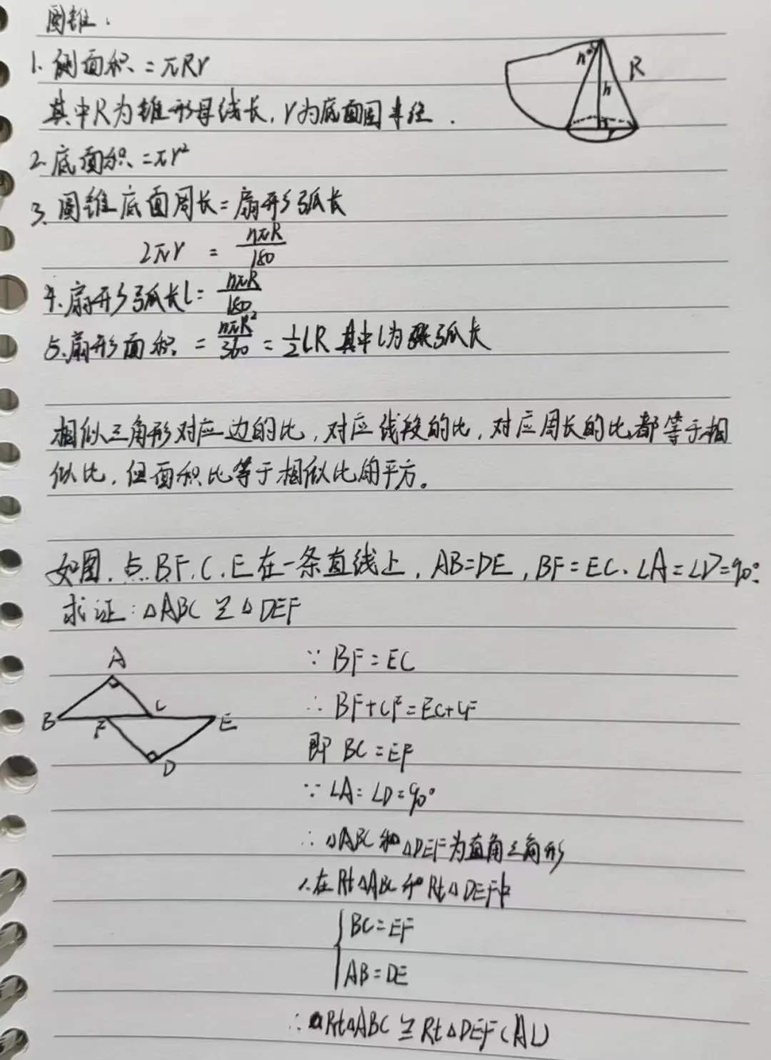 招生||翰霖26届中考文化冲刺班招生简章!!! 第21张