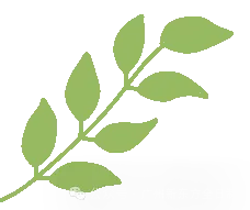 赴逐梦之约!中考全日制集训营已开始! 第2张