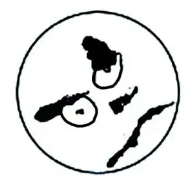 助力生物中考:2026初中生物中考模拟试题(二 附答案和解析) 第5张 助力生物中考:2026初中生物中考模拟试题(二 附答案和解析) 第5张