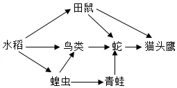助力生物中考:2026初中生物中考模拟试题(二 附答案和解析) 第10张 助力生物中考:2026初中生物中考模拟试题(二 附答案和解析) 第10张