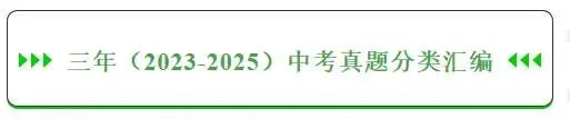 2025年全国中考英语真题汇总-名词 第1张 2025年全国中考英语真题汇总-名词 第1张