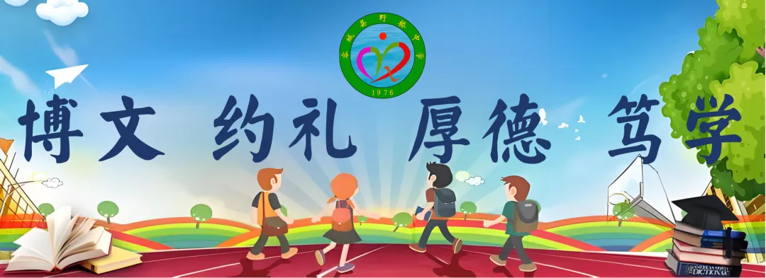 学校动态丨把脉中考会考,赋能高效课堂——县教师发展中心莅临野桥中学开展、学考视导工作 第4张