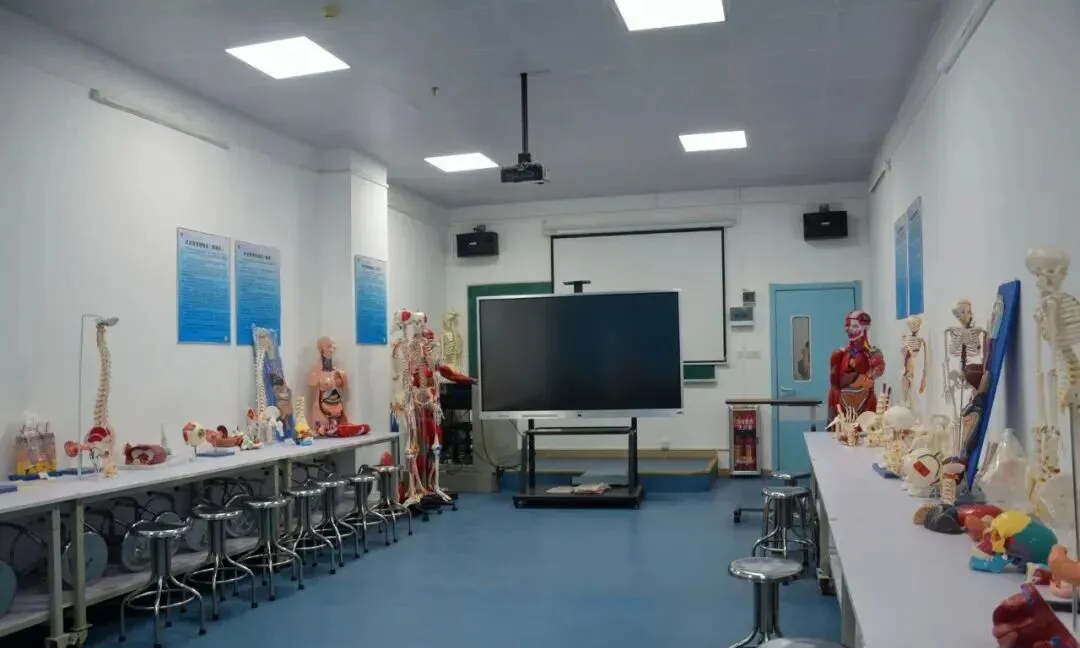 中考后想在广州读宠物专业,选择这所学校——广州涉外经济职业技术学院中职部 第21张