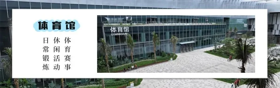 崖州中考游泳考点,专属半价为你护航 第46张