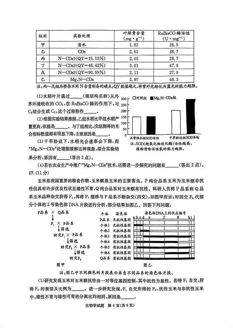 九科全!2026成都二诊各科试卷及答案汇总 第119张
