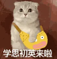 26年广州中考英语听说考试全攻略(含备考技巧+上机流程),5月9日开考! 第24张