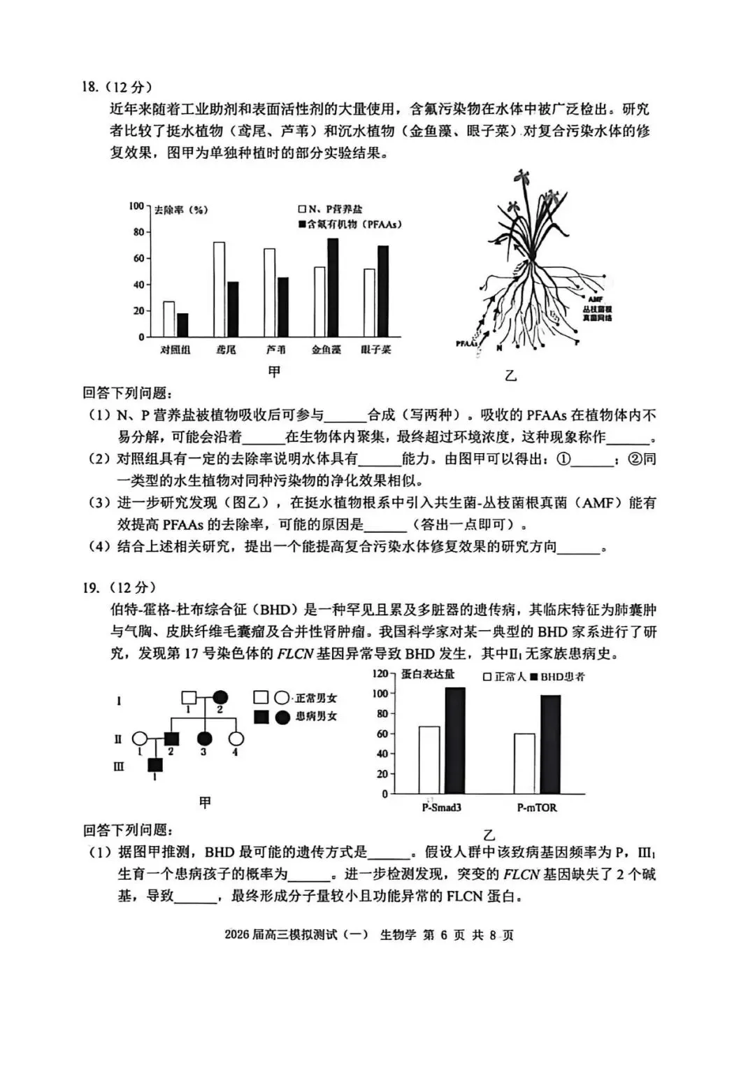 NO:1146M 2026届中山市高三模拟考试(一)生物学试题和评分标准(2026中山一模) 第6张
