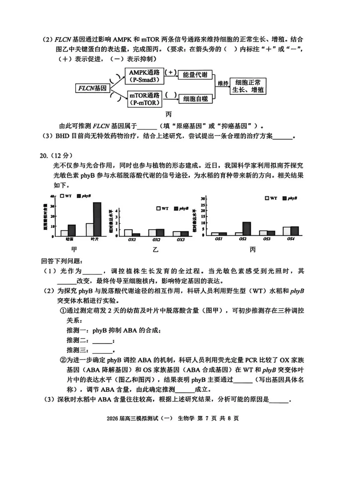 NO:1146M 2026届中山市高三模拟考试(一)生物学试题和评分标准(2026中山一模) 第7张
