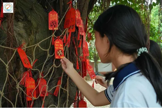 山品教育║百日砺剑,逐梦中考! ——我校2026届初三中考百日誓师大会燃情举行 第57张