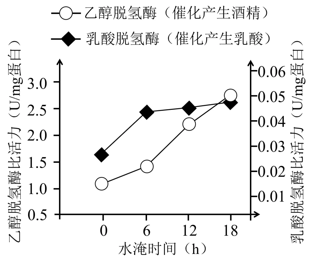 【高考真题】2025年海南卷生物试题 第1张 【高考真题】2025年海南卷生物试题 第1张