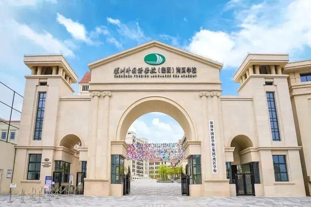真题聚焦!高效备考!深外湾区校情考情重磅汇总 第3张
