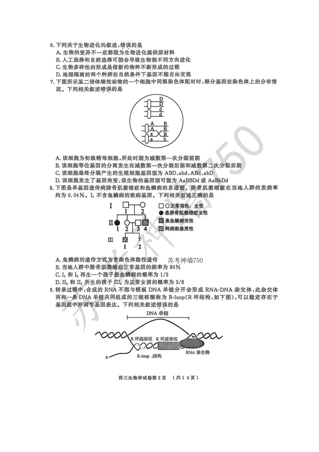 2026届南京市、盐城市高三年级第一次模拟考试 第4张