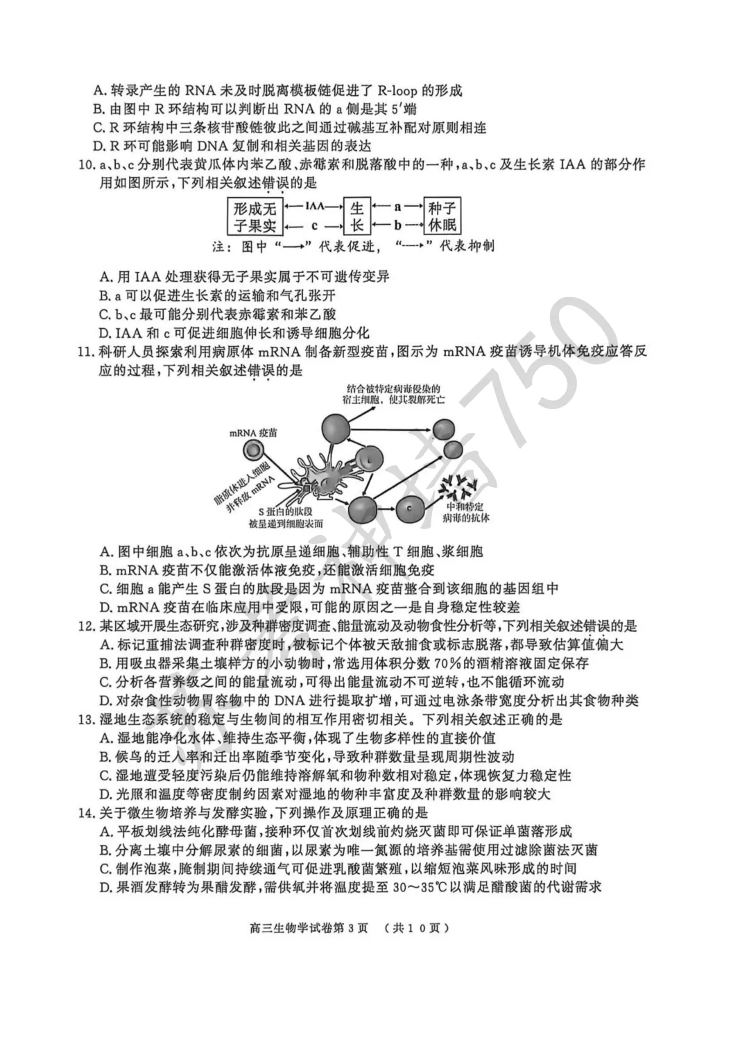 2026届南京市、盐城市高三年级第一次模拟考试 第5张