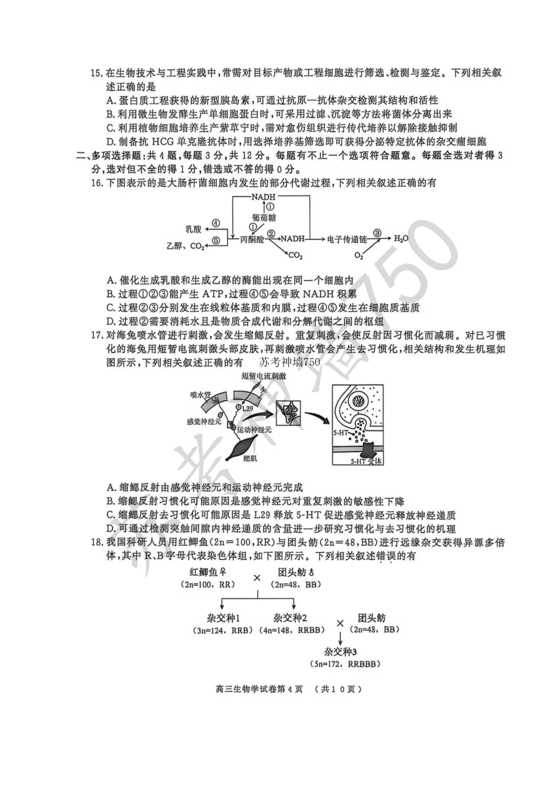 2026届南京市、盐城市高三年级第一次模拟考试 第6张