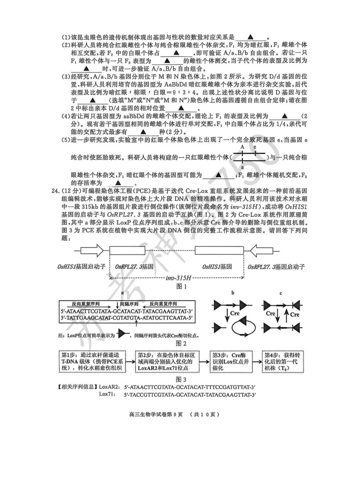 2026届南京市、盐城市高三年级第一次模拟考试 第11张