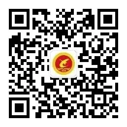博雅教研丨深耕复习课堂 赋能中考备考——城西中学科学组教研活动 第19张