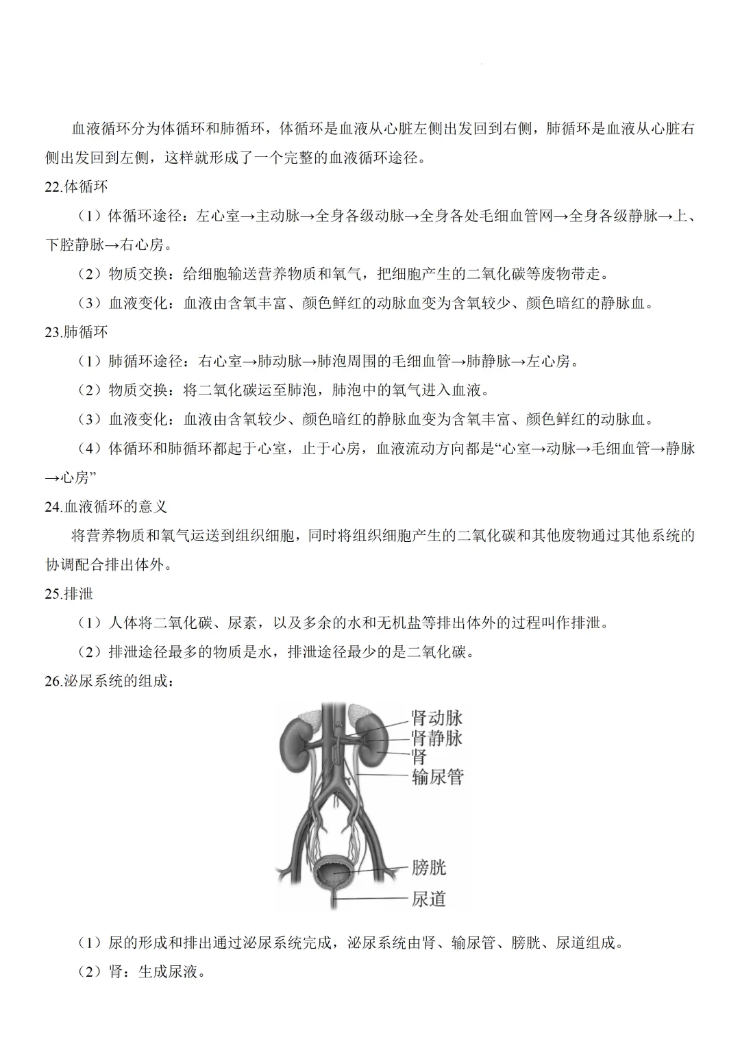 2026中考生物知识点全梳理——主题五 人的生理与健康 第6张 2026中考生物知识点全梳理——主题五 人的生理与健康 第6张