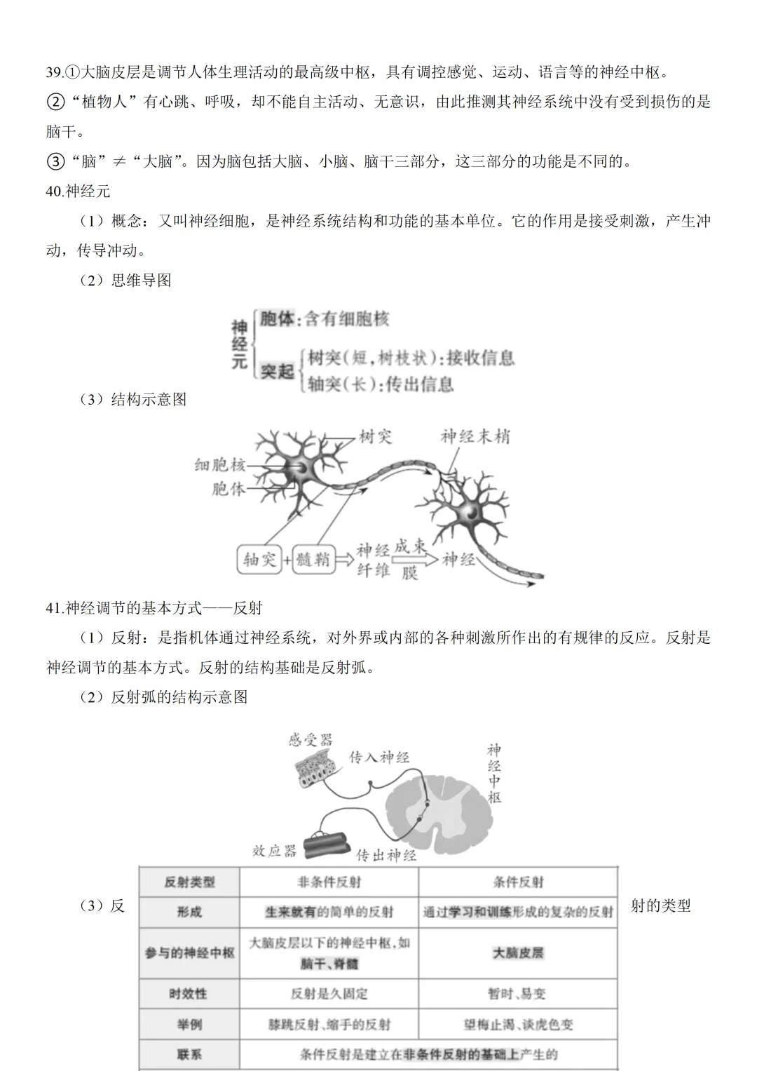 2026中考生物知识点全梳理——主题五 人的生理与健康 第10张 2026中考生物知识点全梳理——主题五 人的生理与健康 第10张