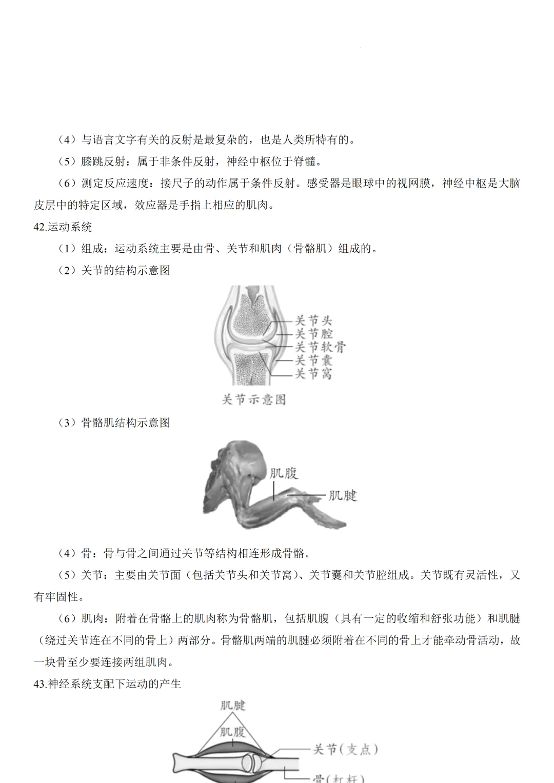 2026中考生物知识点全梳理——主题五 人的生理与健康 第11张 2026中考生物知识点全梳理——主题五 人的生理与健康 第11张