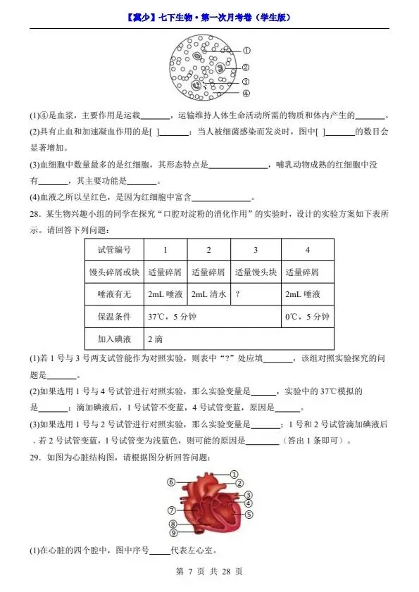 26春七年级下册冀少版生物第一次月考试卷(含答案+答题卡)完整电子版可打印 第10张